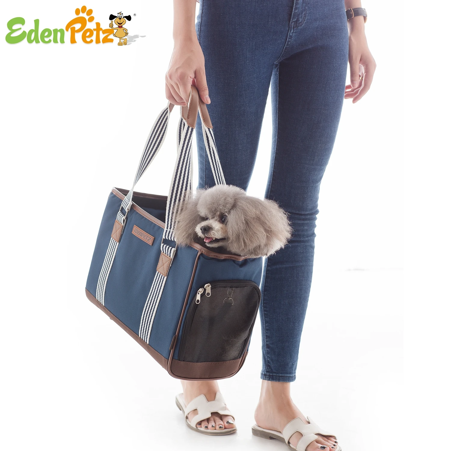 Imagem -06 - Transportadora Respirável para Pet Pequeno Bolsa de Transporte para Cachorro e Gato Mochila de Moda para Cachorro e Gatinho