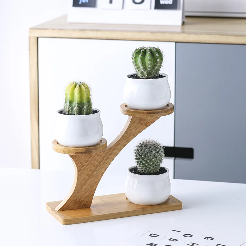 Creative Succulent Plant Shelves Flower Display Stand Bamboo Frame Ceramic Flowerpot Plant Tray