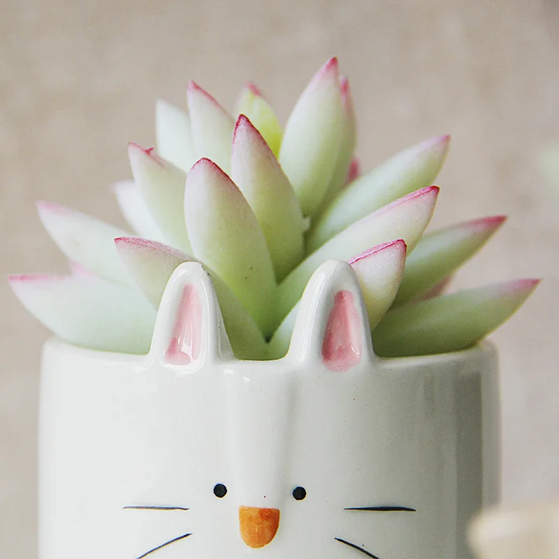 Creative Cartoon Dog Ceramic Flowerpot Plant Cactus Potted Flowerpot Abstract Animal Vase Crafts Desktop Living Room Decoration