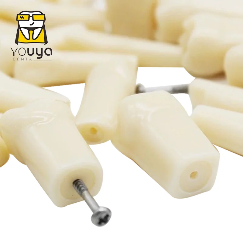 5pcs Dental Teeth Model for NISSIN D16FE-500H-MF Training