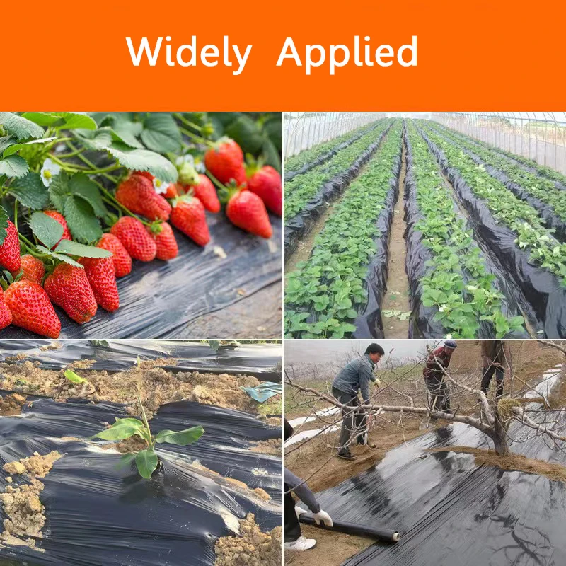 250M Agriculture Weeding Black Mulch 0.8m Width Thicken 0.01mm Vegetable Greenhouse Strawberry Plastic Film Plants Grow Films