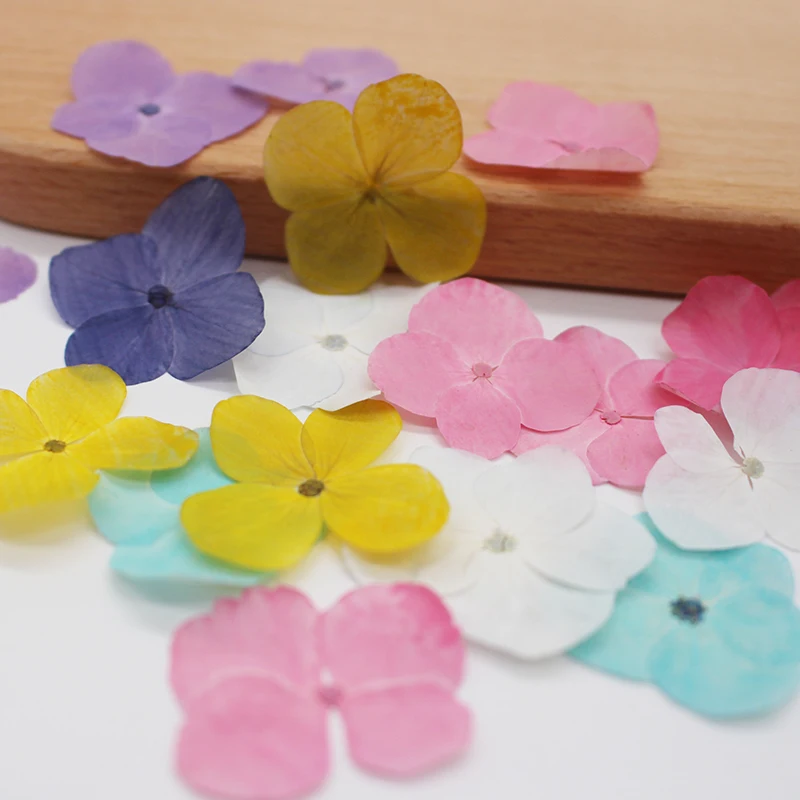 24pcs/1.5-3.5cm,Nature Pressed Dyed Hydrangea Flower Petals,Real flowers for Nail Art Decoration DIY Flora Gel Manicure Stickers