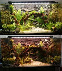 Aquarium LED Lighting 24/7 Hour Full Spectrum Dimmer Lamp for Plant Growth Sunrise Sunset Marine Fish Tank Light RGB 110V 220V