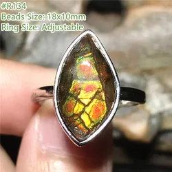 Natural Ammonite Ammolite Ring Jewelry For Women Lady Men Gift Green Red Crystal Silver Beads Gemstone Adjustable Ring AAAAA
