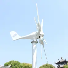 800W 48V Wind Turbine with MPPT #4