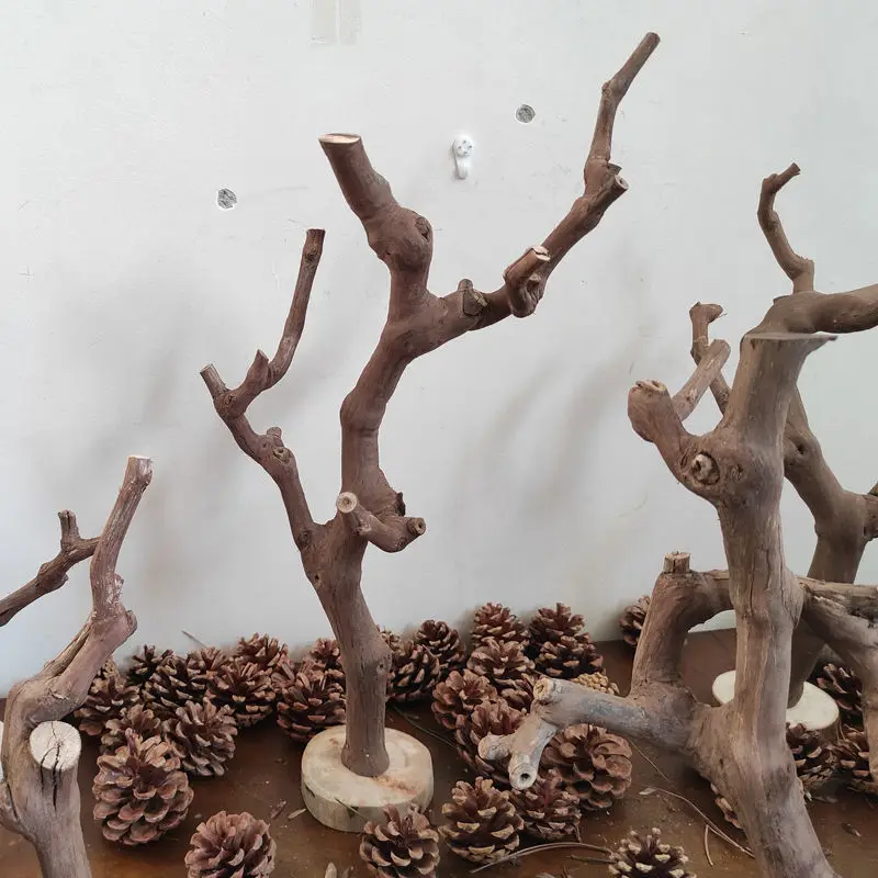 Log Tree Branches with Bottom Bracket Hodler Handmade Solid Wood Jewelry Holder Bookcase Living Room Coffee Table Ornaments