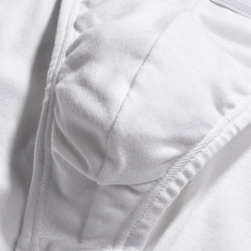 5 Piece Cotton Underwear For Men Sexy Briefs Underpants Panties Homme Undies Boy Undershorts Big Size Knickers Pouch Trunk S-4XL image 4