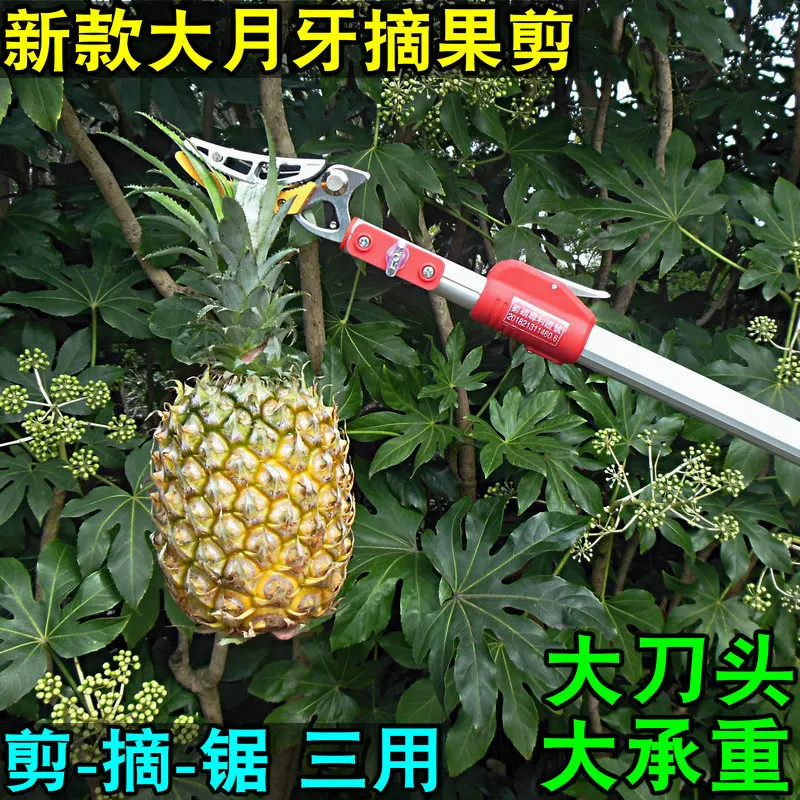 3Meter High-altitude Fruit Scissors Garden Telescopic Hedge Trimmer Fruit Tree Pruning Shears High Branch Pruning Tool adjustabl