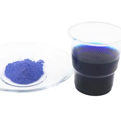 10g Fabric Dye Pigment Blue Dye for Clothing Dyestuff Textile Dyeing Clothing Renovation for Cotton Nylon Acrylic Paint