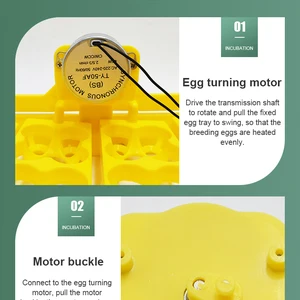 حاضنة البيض الأوتوماتيكية معدات حضانة الدواجن الصينية القابلة للإزالة ، حاضنة السمان ، البط ، 24 بيضة أعلى 6 مبيعات 24 حاضنة بيضة - رقم 4
