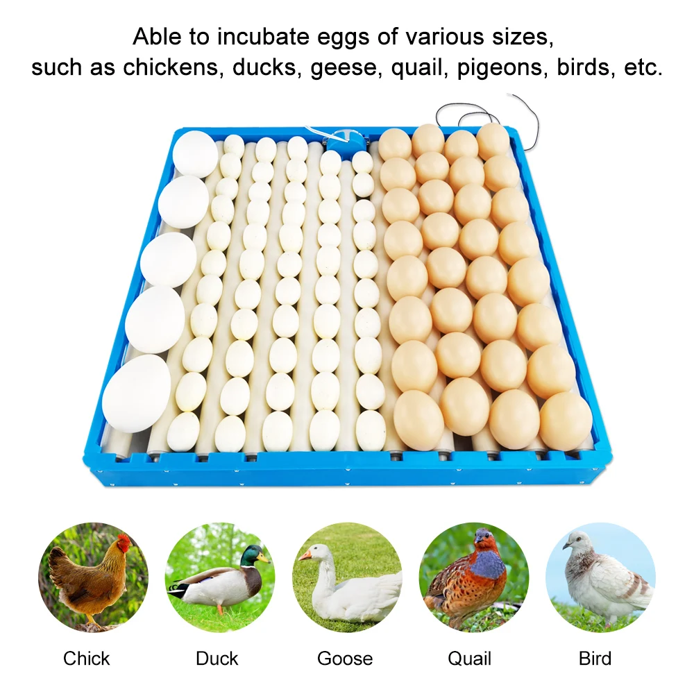 Bandeja giratoria automática para huevos de codorniz, Incubadora de 360 V, 70-108 grados, pollo, pato, ganso, suministros para aves de corral