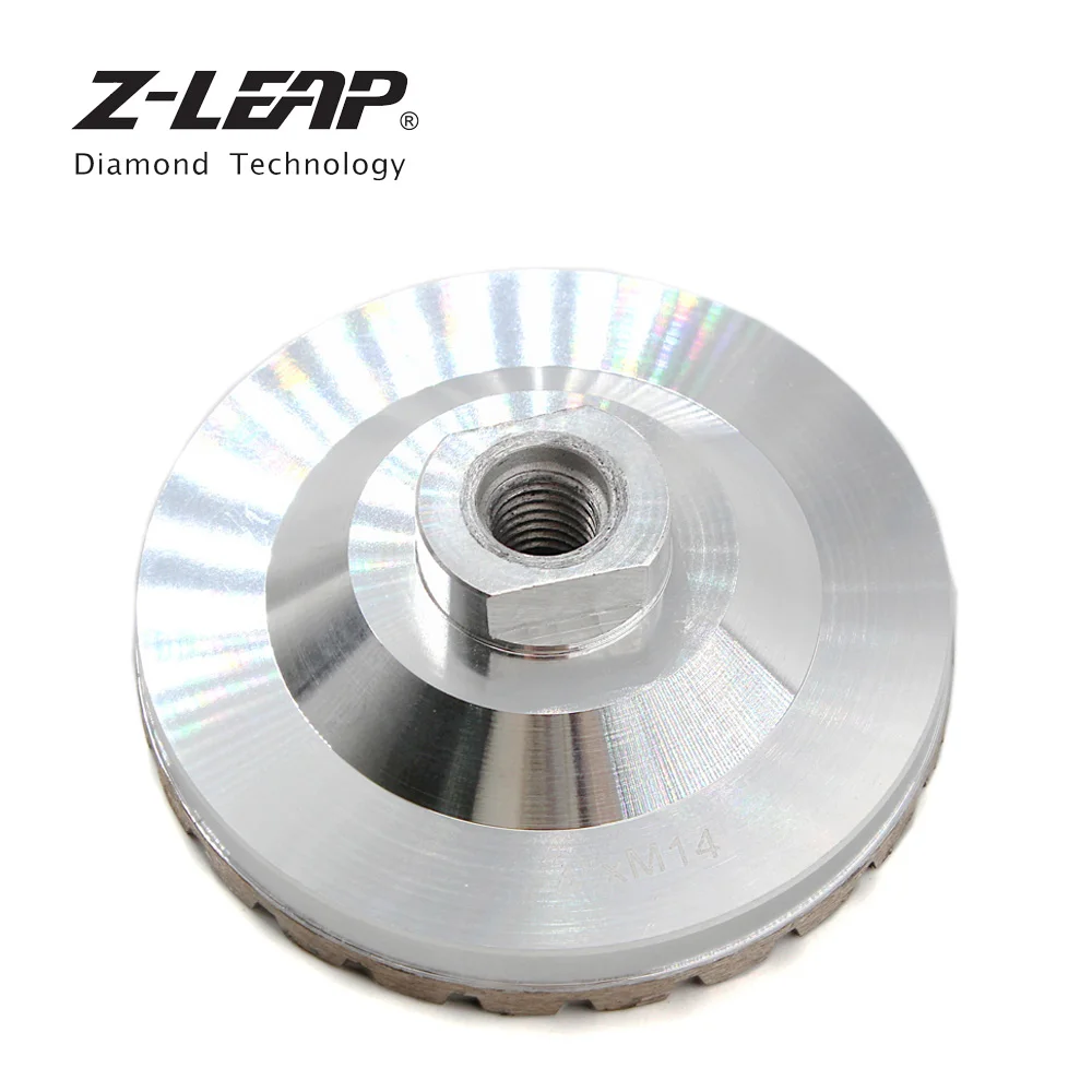 Z-LEAP 4\