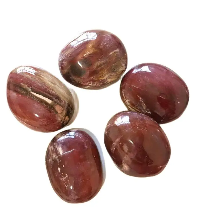 Natural Stone Beautiful Petrified Wood Palm Stone Healing Crystals Decorative Collection Stones And Crystals