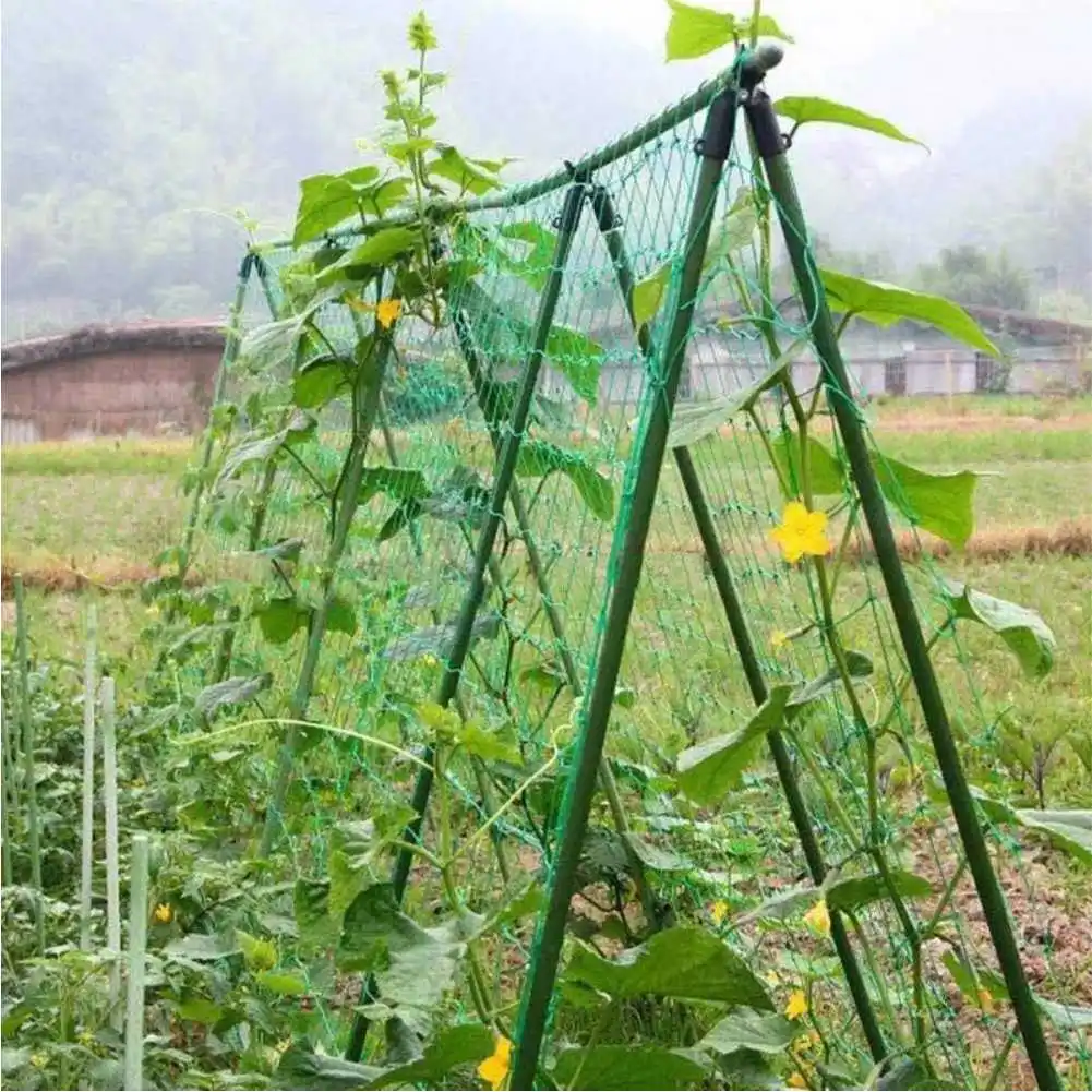 Heavy Anti Bird Net Mesh Gardening Safe Net Protection Crops Plant Breeding Nets Stops Deer Dog Cat Chicken Fencing Fishing Net