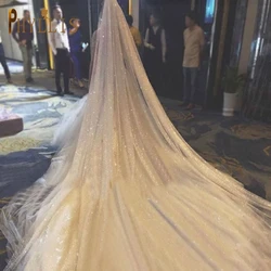 B58-D Sparkle Wedding Veil Champagne Colored Wedding Veils Bling Bridal Veils Long 3M/5M Bride Veil Luxury Cathedral Veil