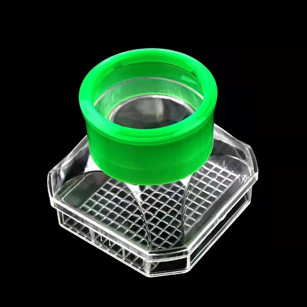 Insect Observation …