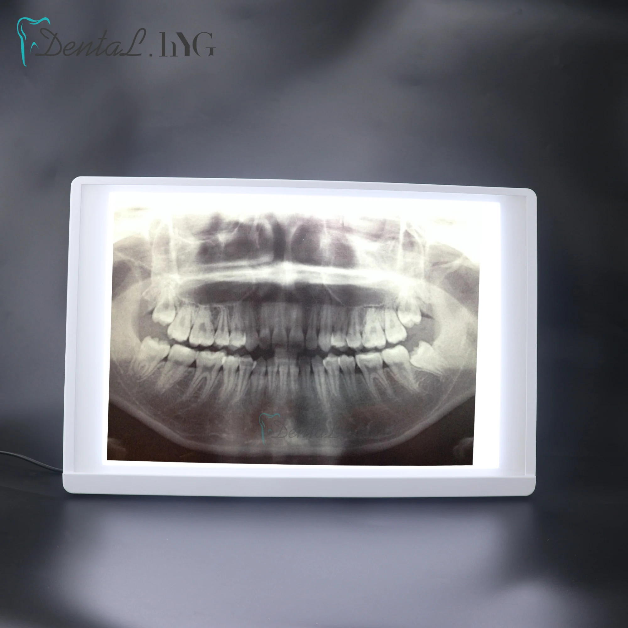 Dental x-ray Film iluminator podświetlana tablica x-ray Viewer Panel świetlny LED dentysta 10W AC100-240V Panorama Film Viewer