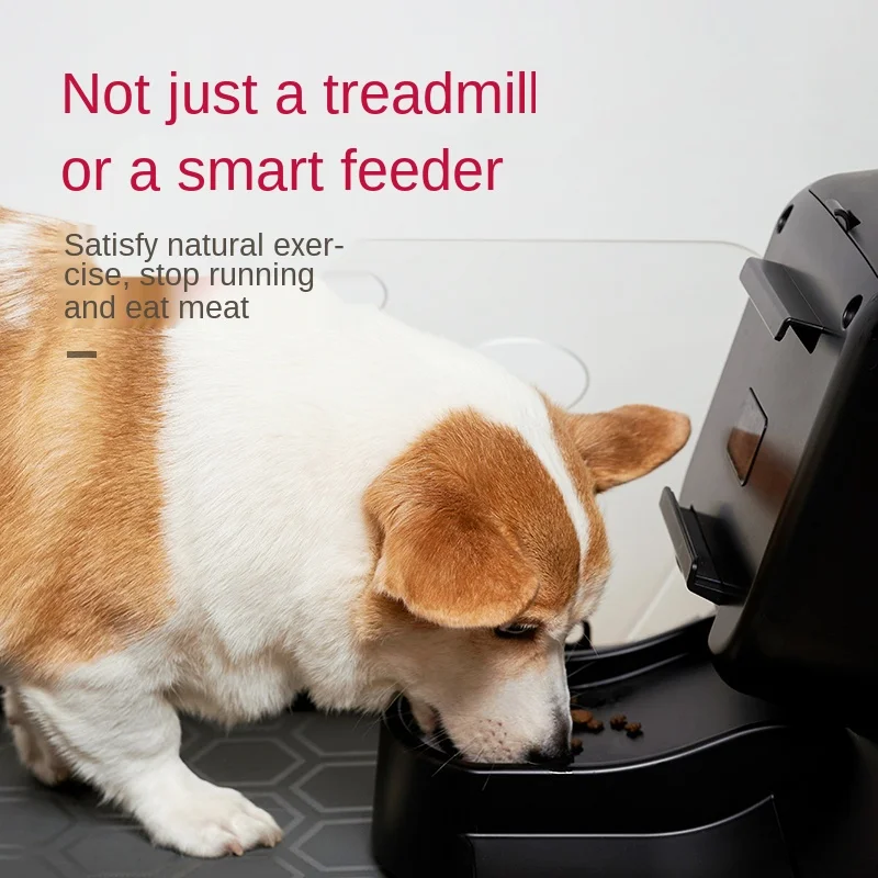 Pet Treadmill Household Mute Cat Dog Training Machine Dog Treadmill Convenient Family Multi-function Gift High Quality Durable