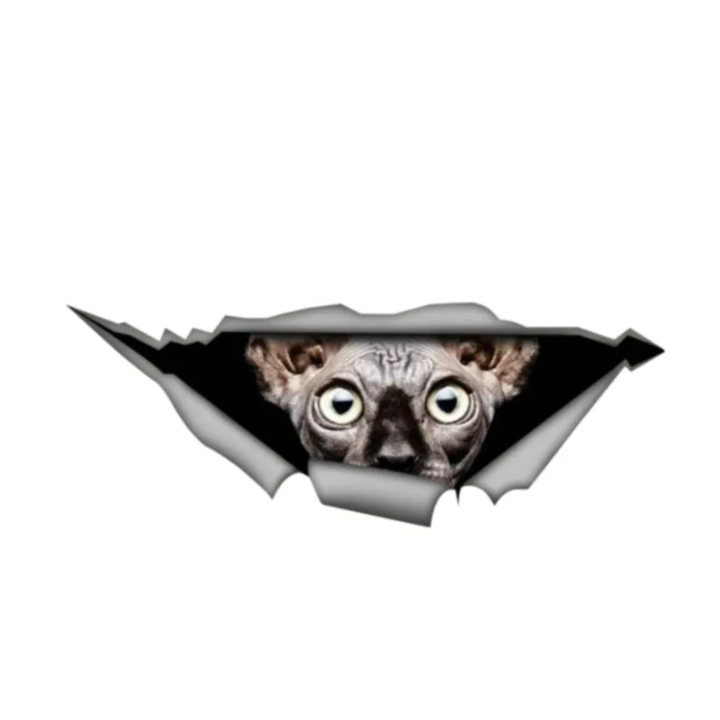 

Виниловая наклейка Dawasaru Sphynx, животное, животное, 3D, 13 см х 5 см
