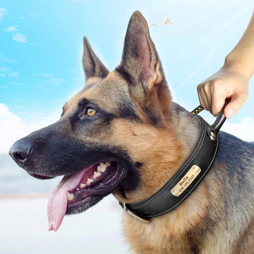 Leather Dog Collar Personalized ID Tag Collar For Medium Large Dogs Pet Walking Training Quick Control Necklace With Handle