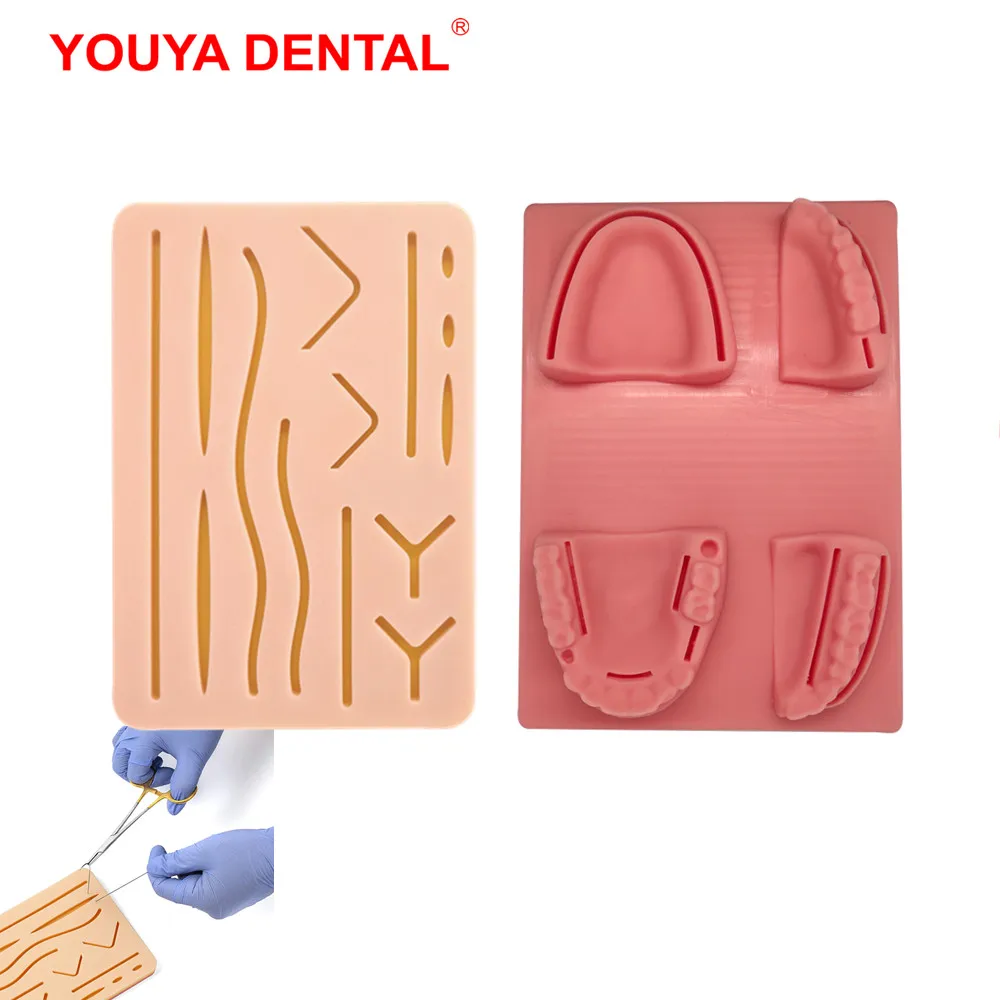 Dental Suture Practice Kit Medicine Oral Model Suture Pad Medical Skin Suture Surgical Training Kit For Doctors Dentist Students