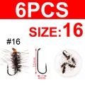 6 piezas talla 16