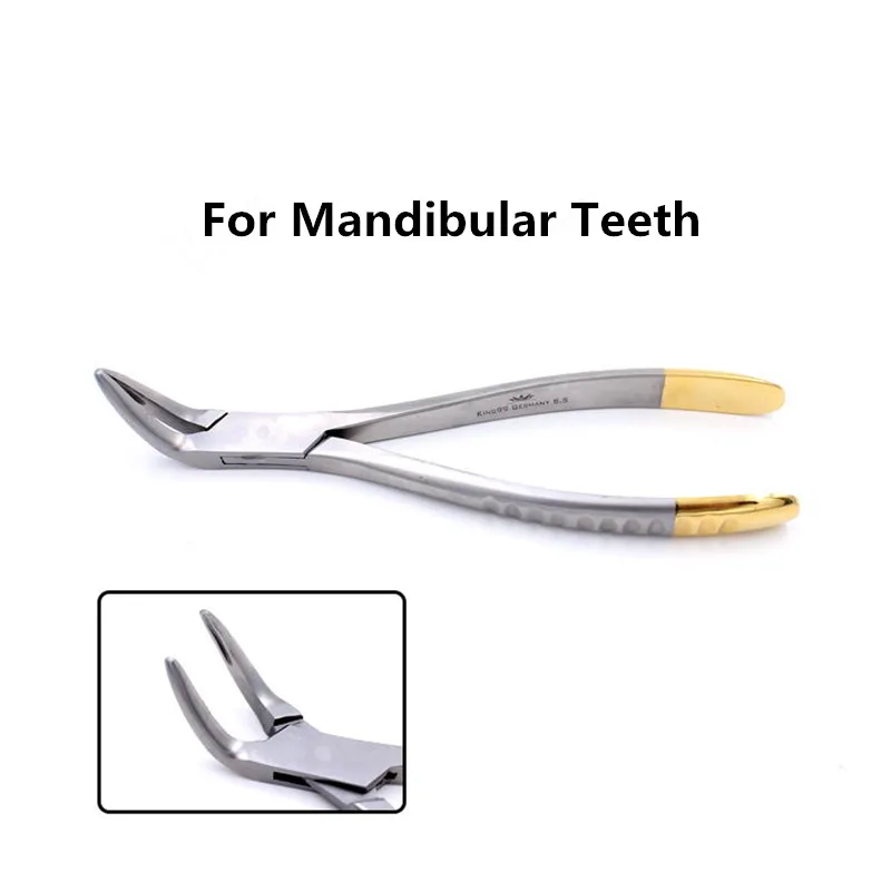 Dental Root Fragment Minimally Invasive Tooth Extraction Forcep Tooth Pliers Dental Instrument Curved Maxillary Mandibular Teeth