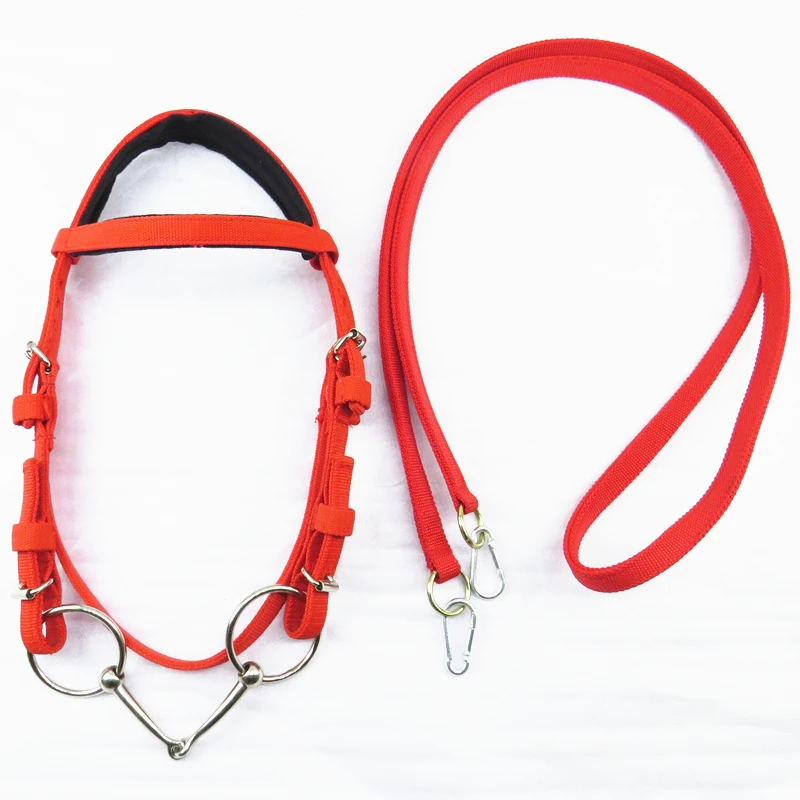 Arnês rédea cavalo cavalo rédea headstall cabresto acessórios equestres removível webbing equipamentos de equitação halters