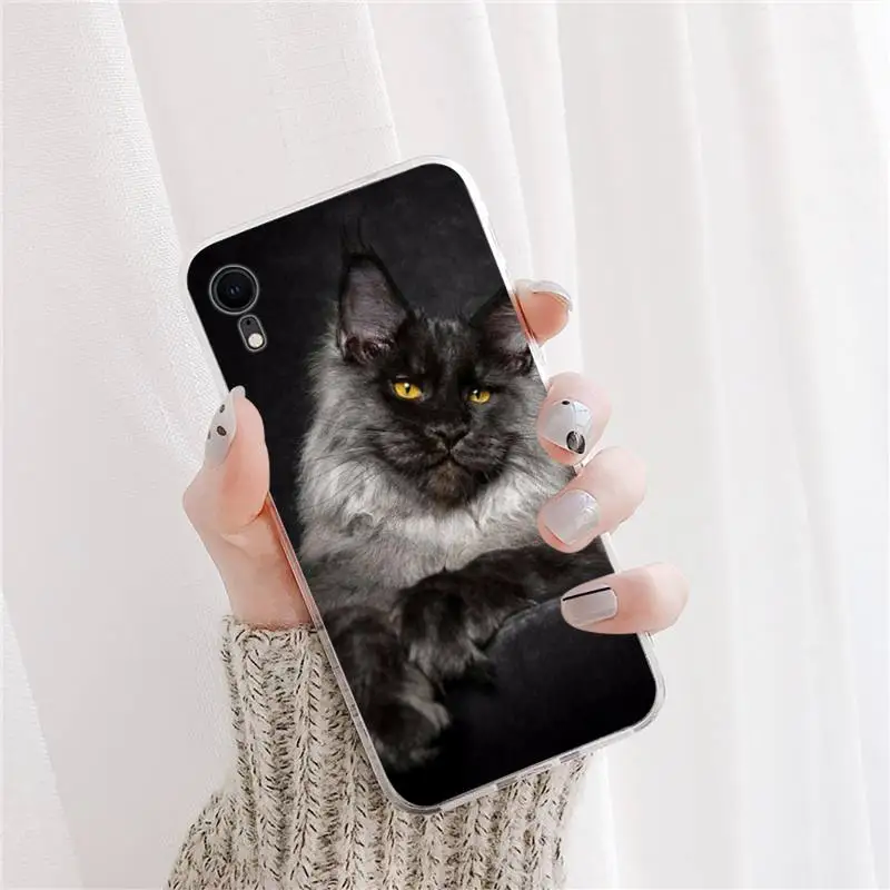 pet maine coon cat Phone Case For DIY iPhone X XS MAX 11 12 13 pro max 6 6s 7 7plus 8 8Plus 5 5S XR SE 2020 case