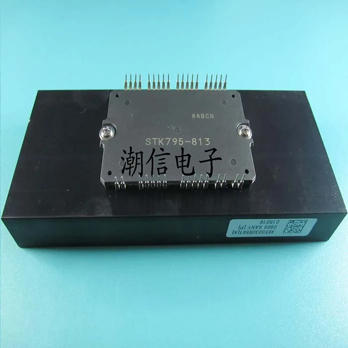 

STK795-813 module