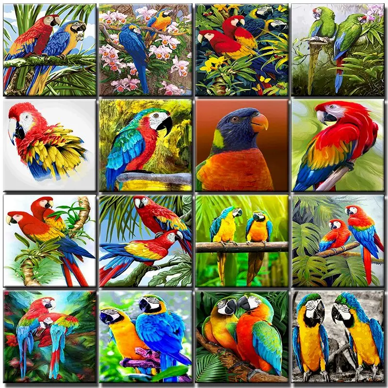 

Diy Pictures By Number Animal Paintings By Numbers Bird Drawing Adults On Canvas HandPainted Painting Parrot Kits Home Decor Set