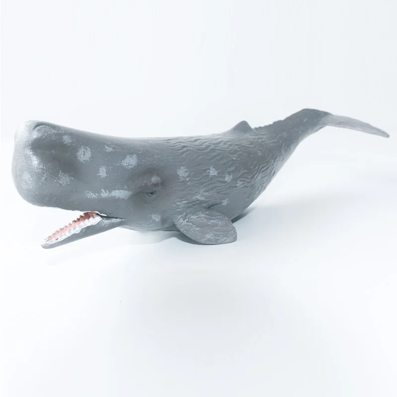 CollectA Wild Life Animals Sea Ocean Sperm Whale Plastic Toy Model Educational #88835