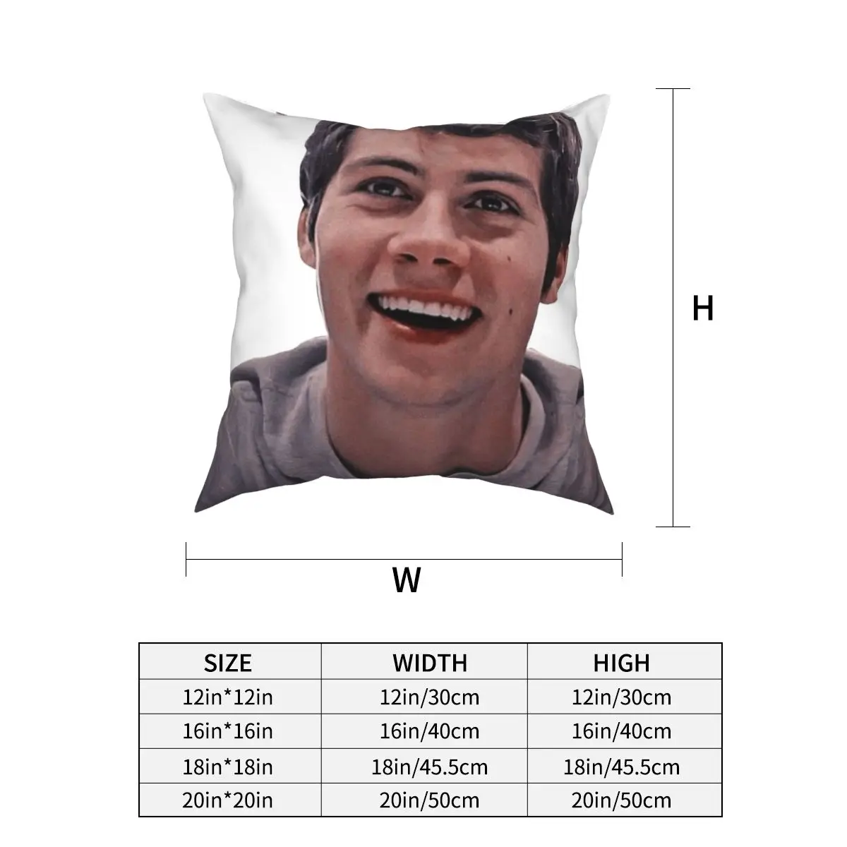 Smiling Dylan O\'Brien Pillowcase Cushion Cover Gift Teen Wolf Maze Runner Thomas Throw Pillow Case Cover Home 40*40cm