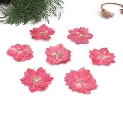 120pcs Pressed Dried Natural Pink Consolida Ajacis Flowers Plants Herbarium For Jewelry Phone Case Frame Postcard Bookmark DIY