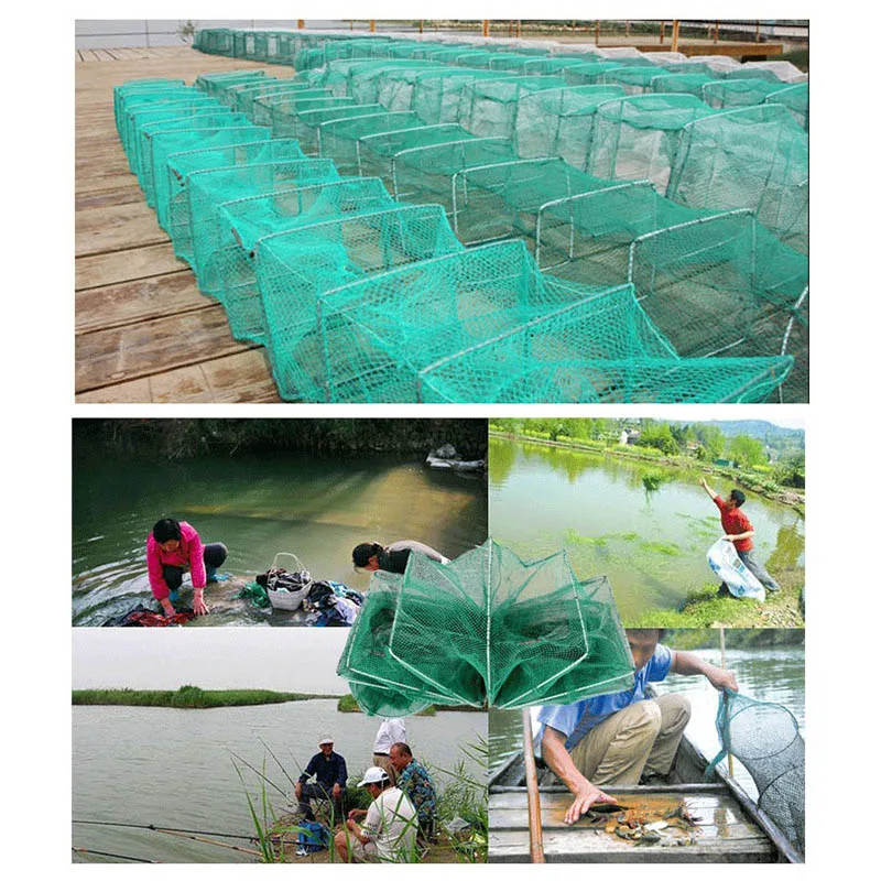 Shrimp Cage Fishing Net Catcher Trap Foldable Portable For Crab Crayfish Lobster  UND Sale