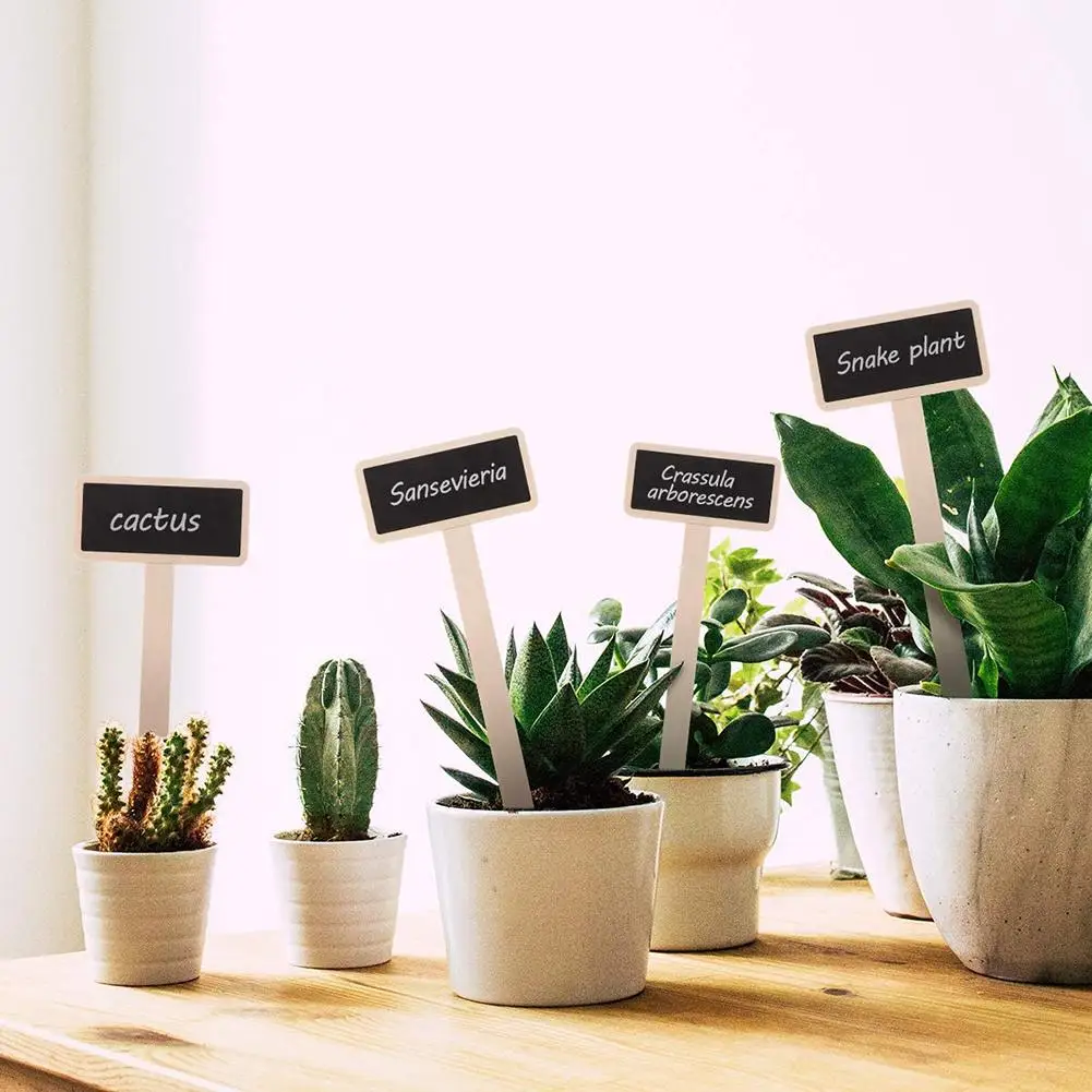 

20Pcs Eco-friendly Wooden T Shape Vegetables Plant Pot Labels Tags Garden Chalkboard Decor Gardening Tool Этикетка завода