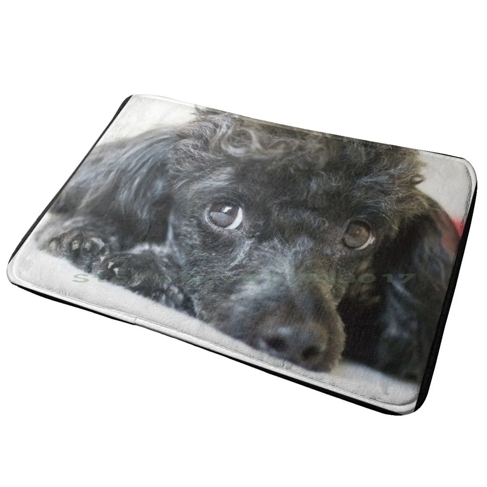 Poodle Entrance Door Mat Bath Mat Rug Black And Grey Poodles Brindle Poodle Lap Dog North Carolina Pet Poodles Black Shallotte