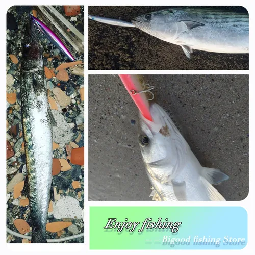 Imagen 2 del producto Señuelo de pececillo de pesca D1, 145mm/23,5g, 3 uds., asesino silencioso suspendido, 140F, Wobblers, pesca en el mar para aparejos de trucha lubina