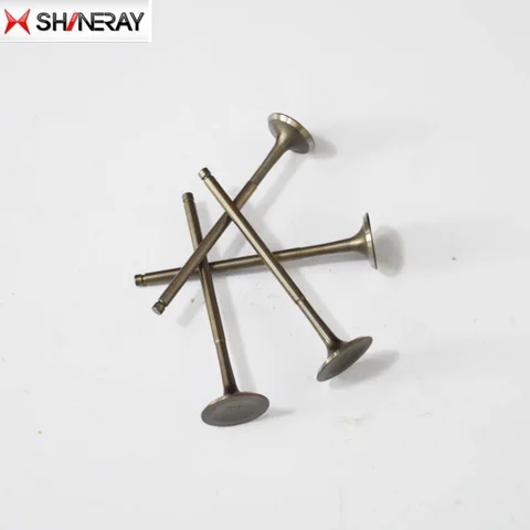 Запчасти для двигателя Shineray AX-1: клапаны (впускной, выпускной), сальники для мотоциклов X2, X2X, XY250GY, 250 куб. см.