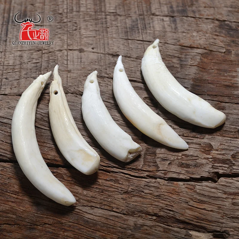 10pcs Bending Wild boar Teeth Natural Bone Beads Pendants For Diy Jewelry Making Primitive tribal ornaments Jewelry Accessories