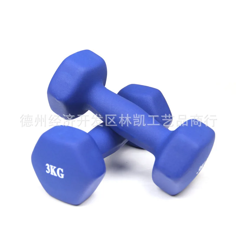 

Ladies Aerobics Dumbbell Color Dip Plastic Coated Hexagonal 0.5-3kg Small Dumbbells