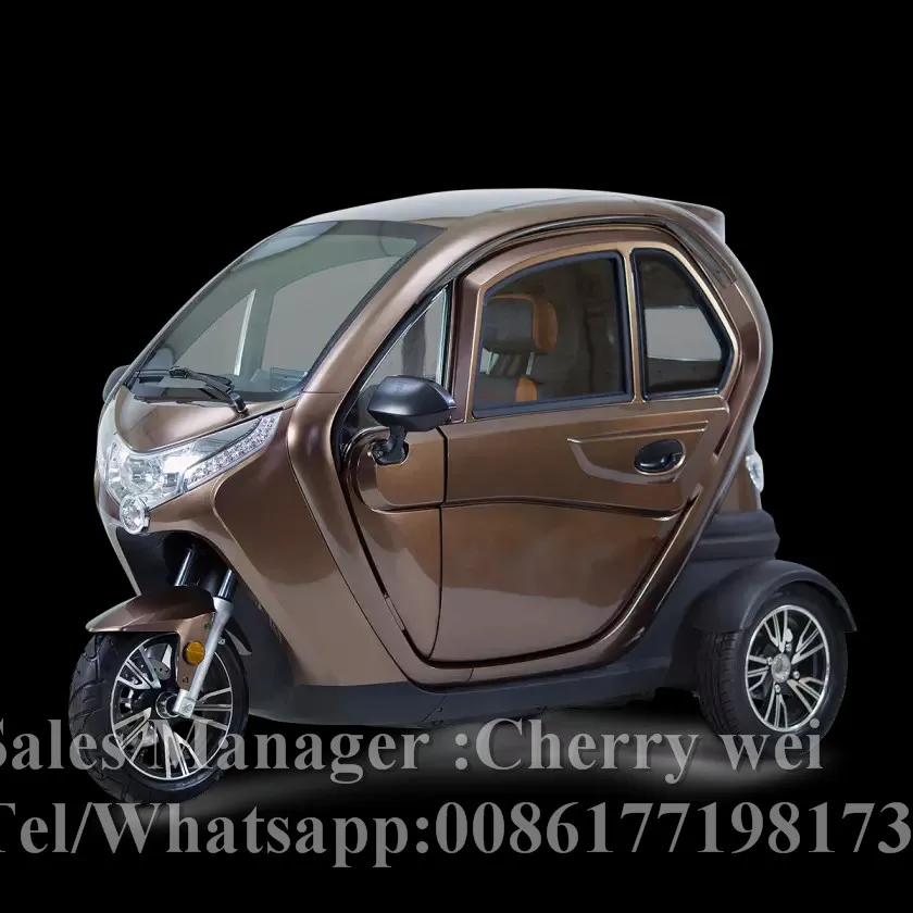 EEC COC دراجة ثلاثية للتنقل الدراجة/ثلاثة مقاعد عربة الركاب/3 عجلات E-دراجة ثلاثية العجلات مع المقصورة تاكسي للبالغين