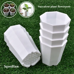 2 ~ 50 sztuk 68*73mm Mini plastikowe doniczki sukulenta doniczka dekoracje do domowego biura ogrodnictwo Bonsai rośliny proste doniczka