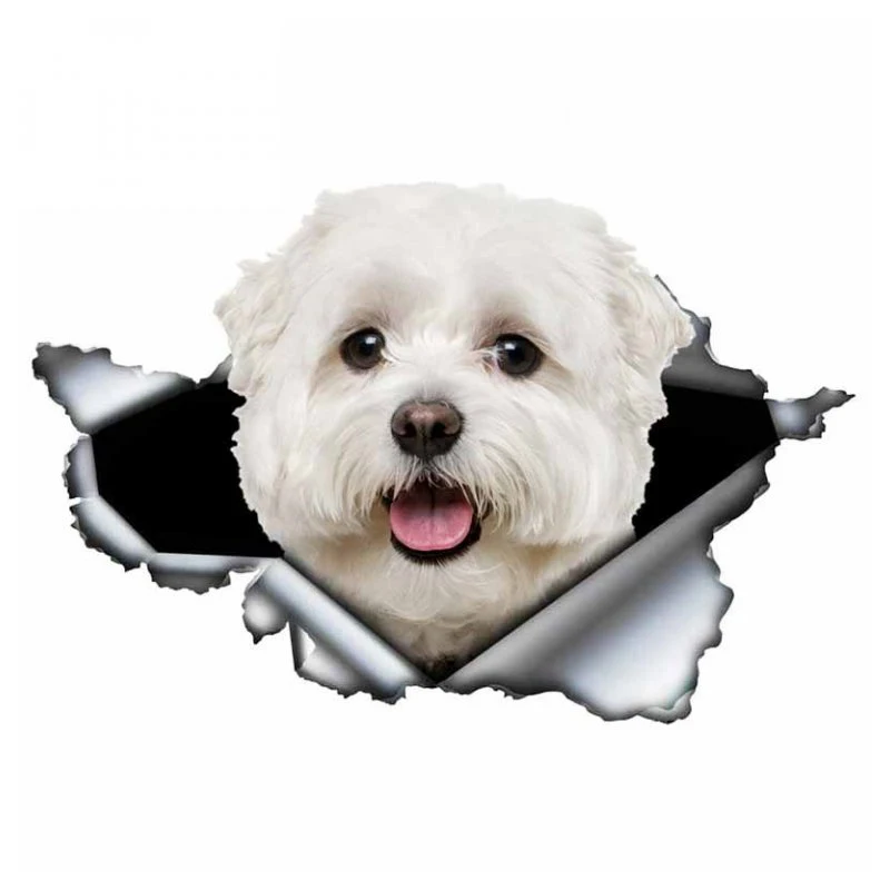 

A0107# 13 cm/17 cm 3D Self-adhesive Decal Cute Maltese Dog Car Sticker Waterproof Auto Decors on Bumper Rear Window Laptop