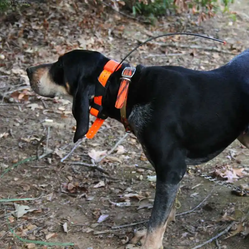 Coleira de rastreamento GPS de antena de substituição de 3 unidades para Garmin Dogtra Pathfinder PathMini TRX Dog