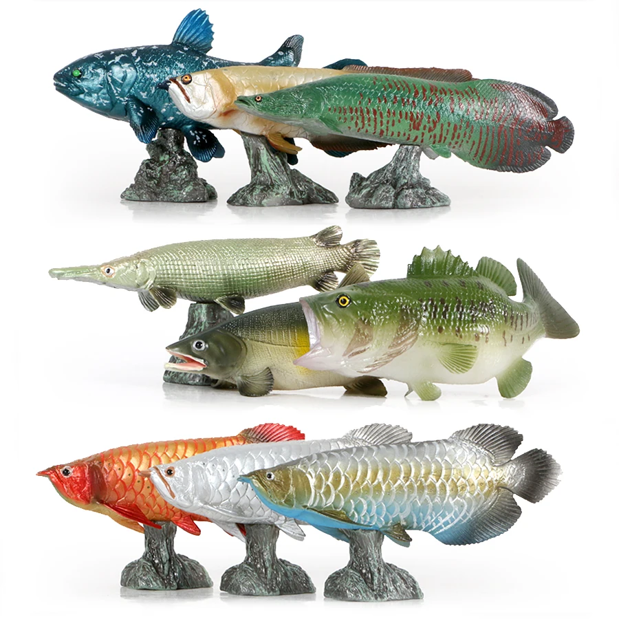 Ocean Fish Animals … - image