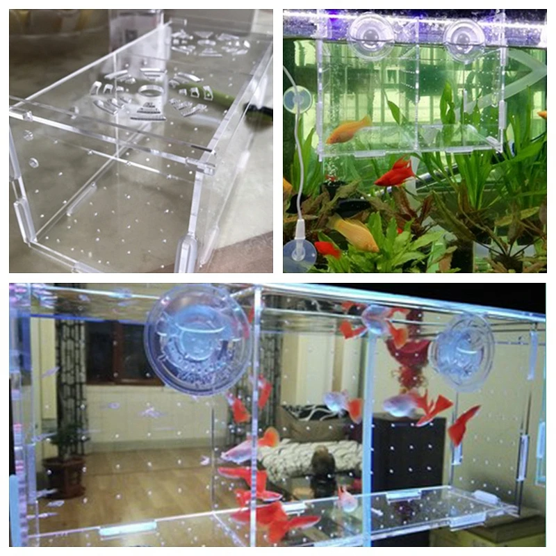 Aquarium Isolation Box Aquarium Kleine Braten Zucht Box Multifunktionale Laichen Brut Zimmer Aquarium Zubehör Fisch Supplie – Detail 9