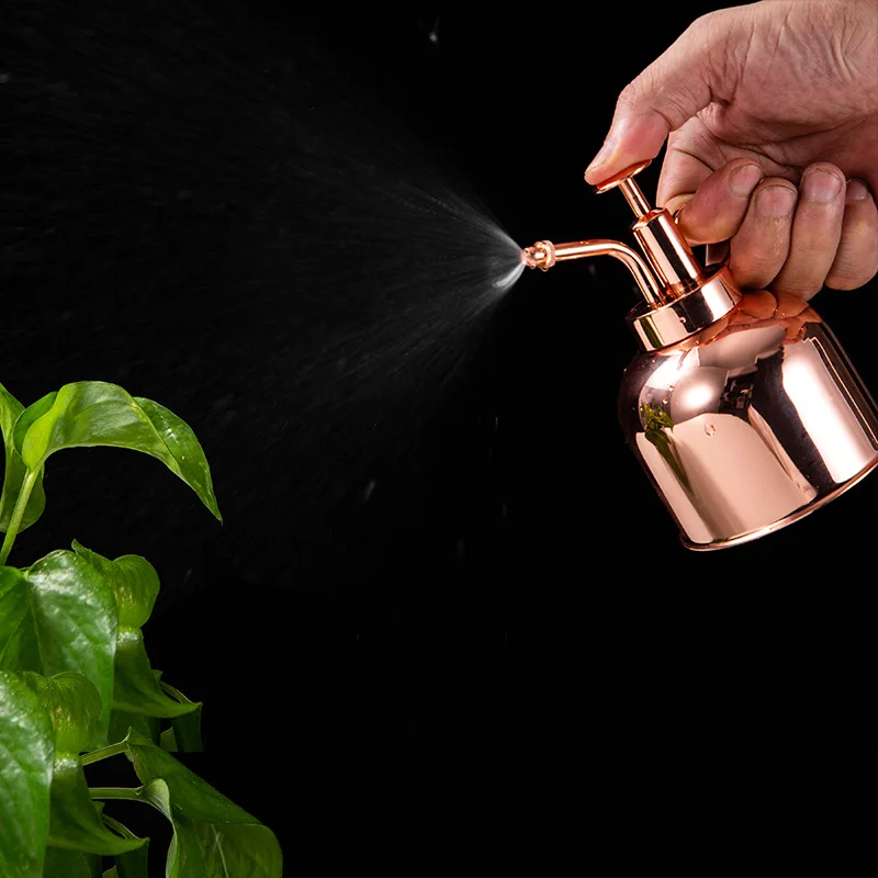 

Retro Mini Stainless Steel Watering Can Plants Succulents Watering Pot Home Office Potted Plant Garden Tool