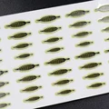 Oilve green 1sheet