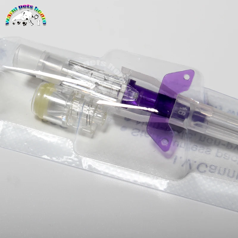 Disposable Dog Cat I. V. Cannula Animal Catheter Pet Catheters with Heparin Cap 22G 24G 26G Veterinary Tools